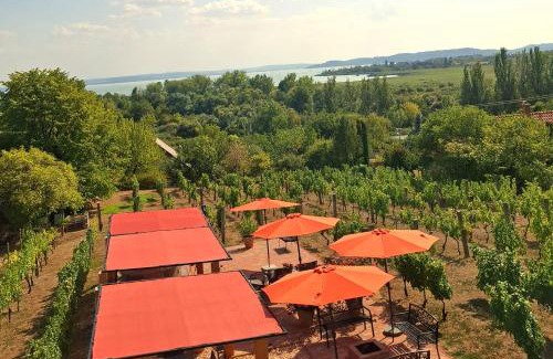 Csopak Apartment | Unwind at Linczi Ház: Eco-Friendly Oceanfront Retreat