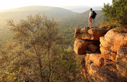 Waterberg Cabin | Exceptional Lindani Game and Lodges with Oceanfront Views
