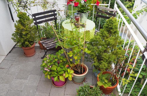 Muttenz Bed & Breakfast | Top-Rated Linde Hotel for Your Next Getaway