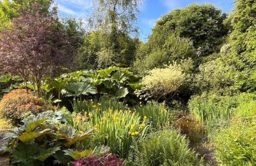 County Cavan House | Enjoy Oceanfront Bliss at Linden Lodge with Spa Access