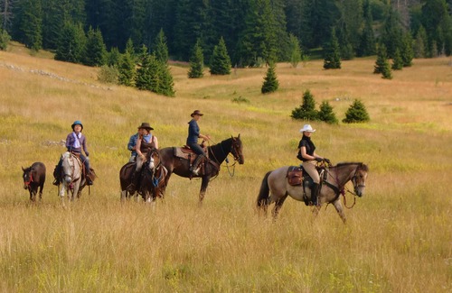 Velika Plana Apartment | Discover Linden Tree Retreat & Ranch: Pet-Friendly Oasis