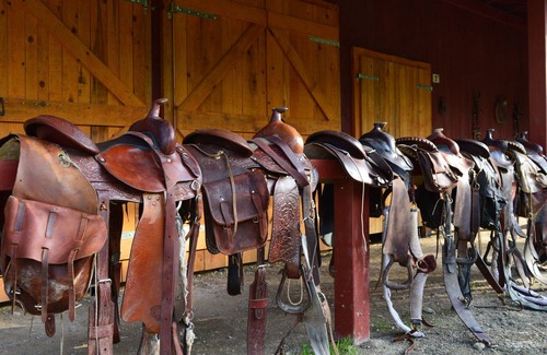Velika Plana Apartment | Discover Linden Tree Retreat & Ranch: Pet-Friendly Oasis