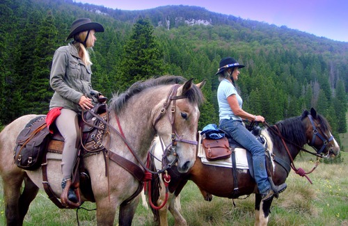 Velika Plana Apartment | Explore Linden Tree Retreat & Ranch: Pet-Friendly Oasis