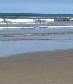 Guilhermina Apartment | Oceanfront Lindo Apartamento Guilhermina with Spectacular Views