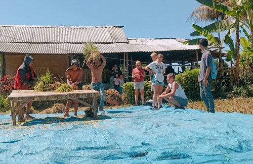 Tetebatu House | Relax at Lingkung Park Tetebatu with Oceanfront Amenities