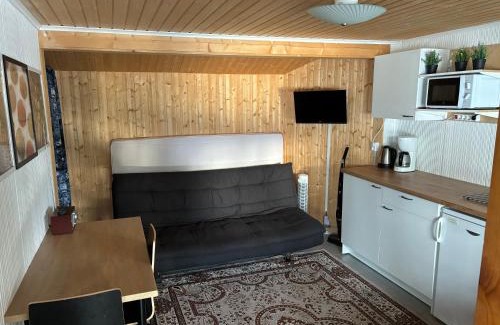 Mikkeli Ski Chalet | Charming Lingonberry Cabin with Ocean View and Private Beach