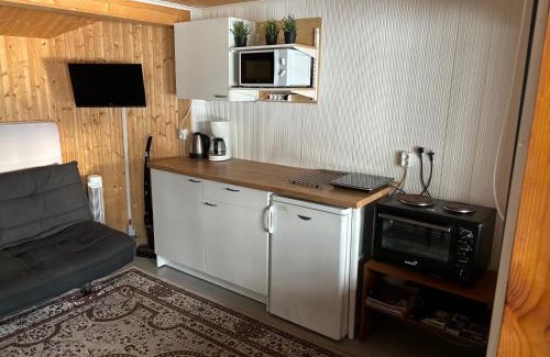 Mikkeli Ski Chalet | Charming Lingonberry Cabin with Ocean View and Private Beach