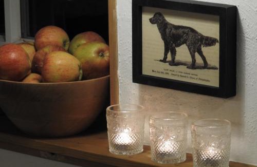 Neerdar House | Pet-Friendly Holiday Homes in Willingen, Germany - 9.4/10 Rated