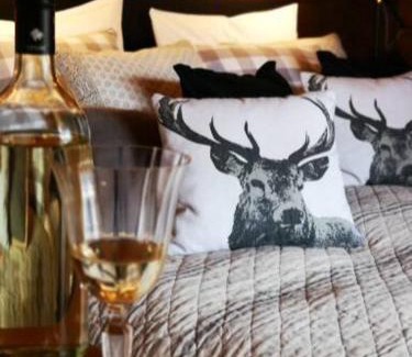 Neerdar House | Pet-Friendly Holiday Homes in Willingen, Germany - 9.4/10 Rated