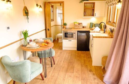Mauchline Apartment | Discover Lintmill Lodges with Hot Tub & Pet-Friendly Comfort