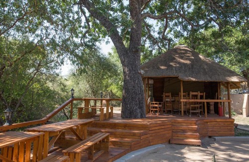 Thorny Bush Game Reserve Cabin | Discover Lion Tree Top Lodge: Oceanfront Bliss Awaits