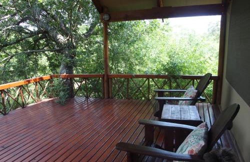 Thorny Bush Game Reserve Cabin | Discover Lion Tree Top Lodge: Oceanfront Bliss Awaits