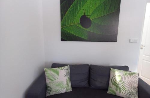 Karlovy Dvory Apartment | Discover Marcela Appartements in Scenic Lipno - Pet Friendly