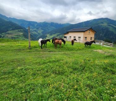 Rauris Apartment | Experience Lipphütte: Scenic Views & Pet-Friendly Comfort