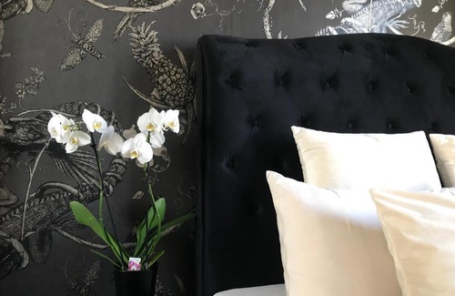 Citta Studi Bed & Breakfast | Relaxing LIPPI 42 Guest House with Private Garden Oasis