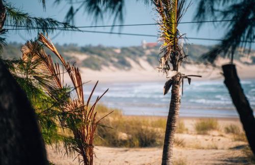 Tofo Bed & Breakfast | Experience Liquid Dive Adventures: Oceanfront Bliss Awaits