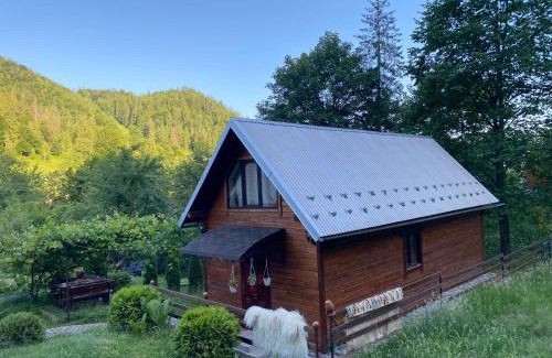 Snidavka House | Lisowa Hatka Yavoriv