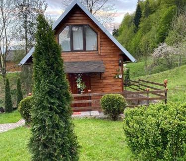 Snidavka House | Lisowa Hatka Yavoriv