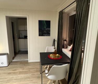 Svolvaer Apartment | Charming Pet-Friendly Studio for Your Perfect Getaway
