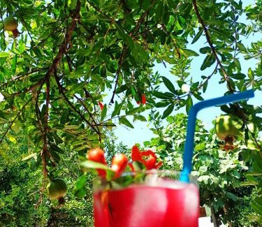 Kumluca Hotel | Oceanfront Litost Cafe Glamping | Guest Rated 9.6/10
