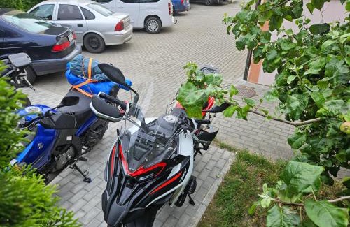 Klaipeda House | Cozy Little Amber Apartments with Kitchen & Family Amenities