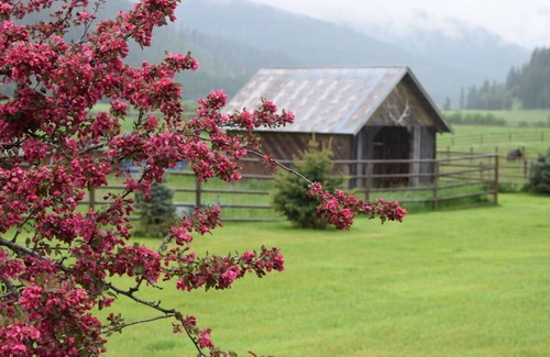 Trout Creek Other | Discover Little Beaver Creek Ranch: Family-Friendly Retreat