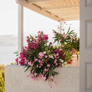 Anaxos Apartment | Experience Little Bird Lesvos: Oceanfront Bliss Awaits