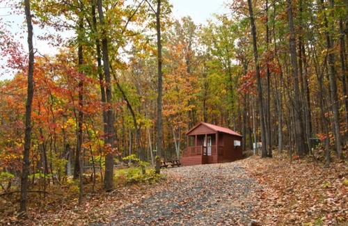 Luray Cabin | Cozy Little Bitty Cabin for Family Getaways
