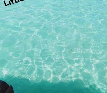 Calatagan Boat Rental | Little Boracay Kuya Waw Floating Cottage