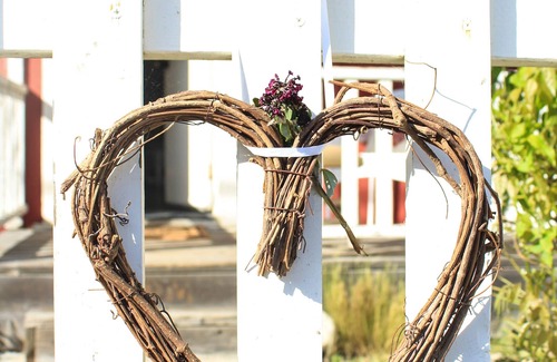 Harmony House | Charming Little Cottage in Harmony - Rated 10/10, Kid-Friendly