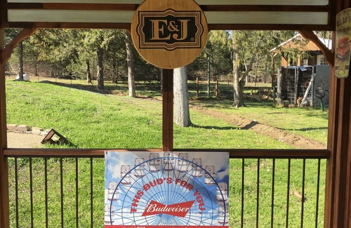 Point Other | Experience Little Creek Ranch: Your Home-Away-from-Home