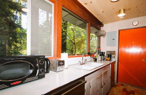 Middletown Cabin | Little Falling Water - Mid-Mod Masterpiece