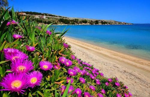 Vlasici House | Guest Rated 10/10: Ocean View at Apartmani Martina