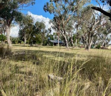 Wallabadah Apartment | Welcoming Little House in the Nursery: Pet-Friendly Retreat