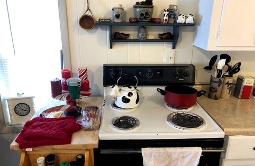 Albion Cottage | Experience Little House on the Prairie with Lake Views