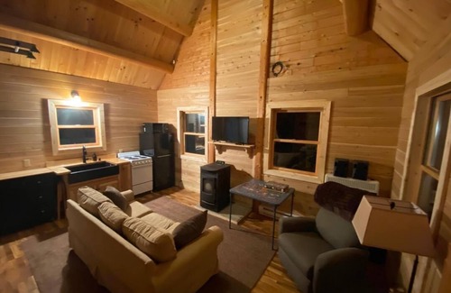 Reed City Cabin | Cozy Little Log Cabin with Kitchen & Pet-Friendly Comfort