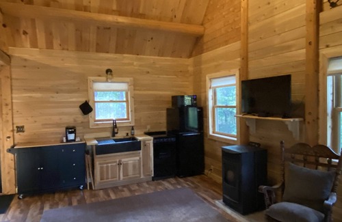 Reed City Cabin | Cozy Little Log Cabin with Kitchen & Pet-Friendly Comfort