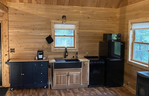 Reed City Cabin | Cozy Little Log Cabin with Kitchen & Pet-Friendly Comfort