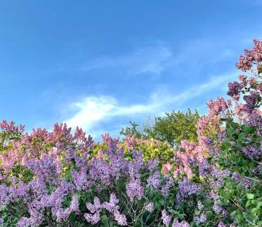 Ameliasburgh House | Guest Rated 9.7: Little Louis - A Regal County Retreat
