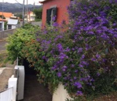 Arco da Calheta House | Discover Little Norway: Oceanfront Retreat in Madeira