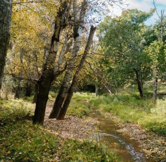 Somerset East Other | Little Nyati farmstay