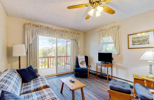 Lake Junaluska House | Charming Little Red Cabin with Pool & Family-Friendly Vibes