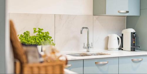 Maidstone House | Discover Little Seven Oaks: Pet-Friendly Retreats Await