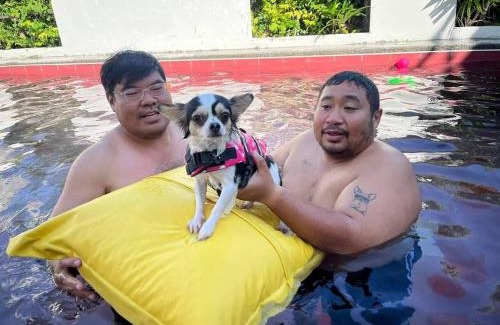 Hua Hin Villa | Discover Little3 Hua-Hin: Pet-Friendly Pool Villa Retreat