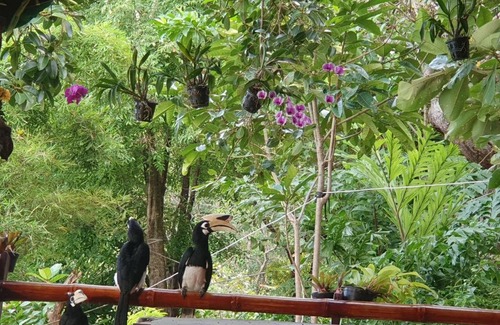 Ranong House | Cozy Littleduck Bungalow in Koh Chang Ranong - 9.3/10 Rated