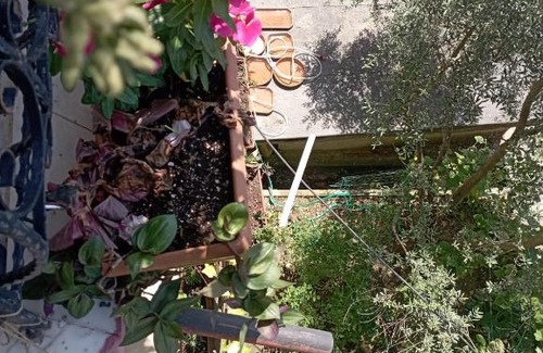 Avsallar Apartment | Family-Friendly Live Assist Incekum Avsallar House with Pool