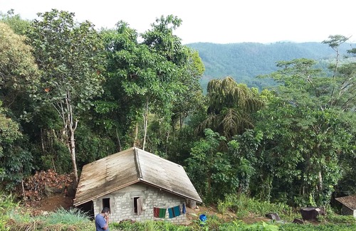 Puwakpitiya House | Experience Tranquility in a Scenic Tea Estate Retreat