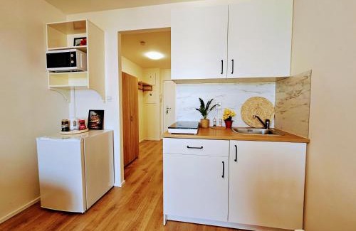 Chodov Apartment | LIVE-INN PRAGUE DELUXE SUITE FOR 1-4 GUESTS, 20 Mins to center, Lift, Gym, Reception, Parking, Roof Terrace, Game & Party
