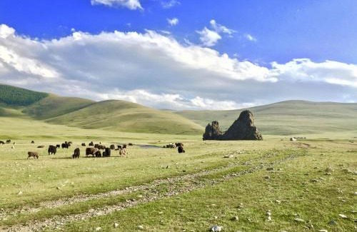 Sergelen Other | Live like a Mongolian Nomad