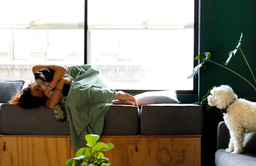 Fitzroy Apartment | Experience Life on the Most Livable Street with Pets Welcome